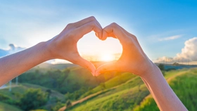 Reisentoiletten, Taschen WC's